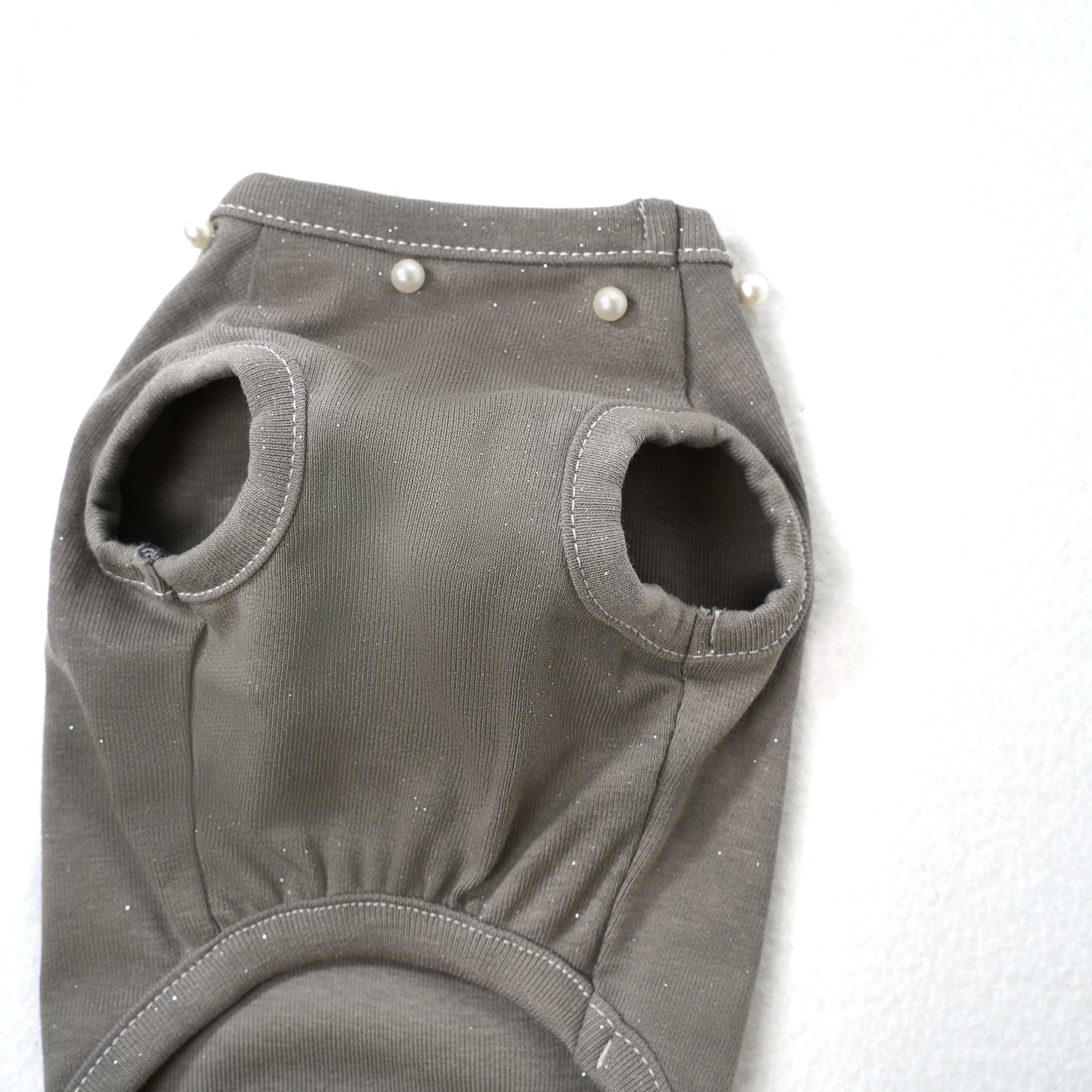 Silver-Gray Minor — Dog Vest