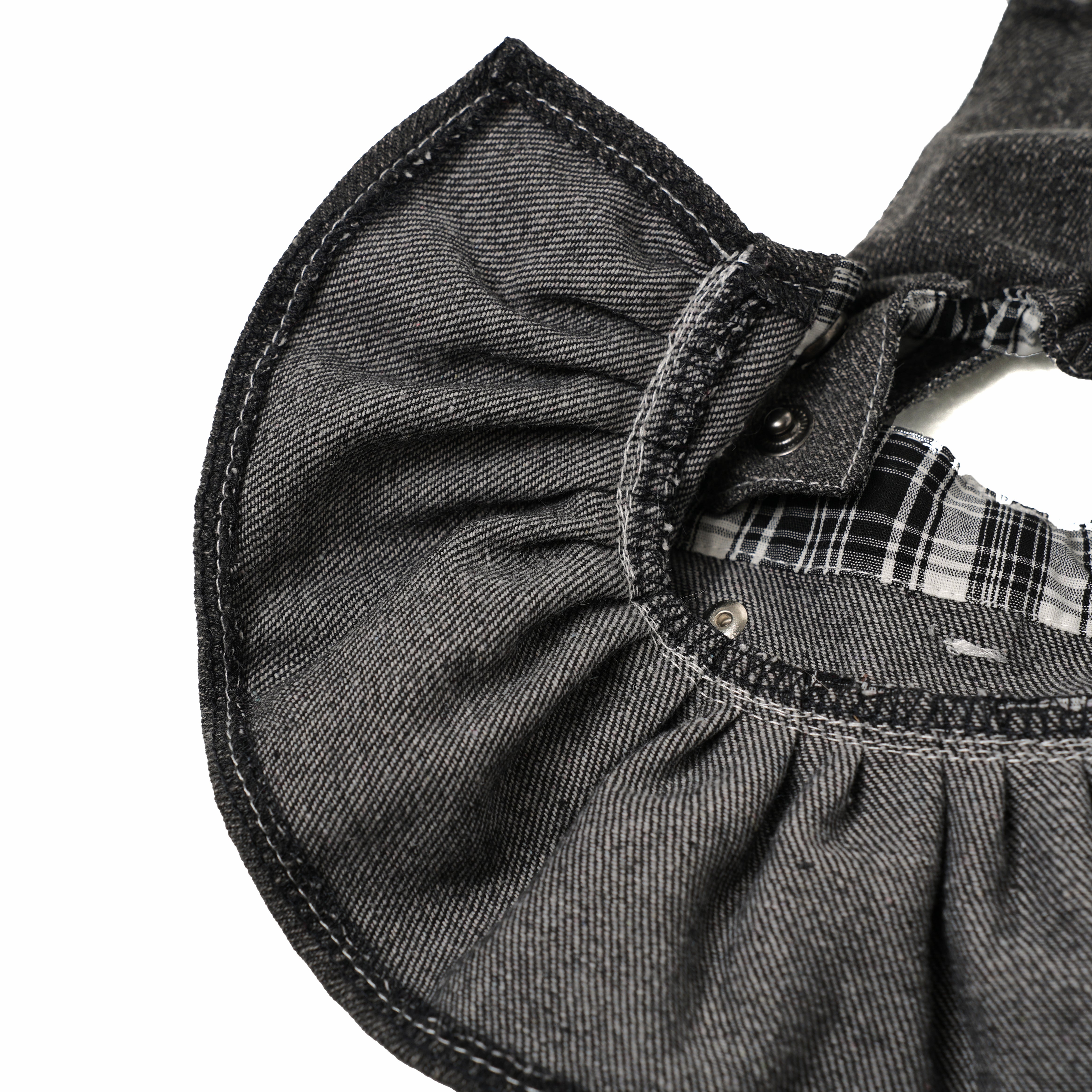 Punk Meteorite — Dog Dress