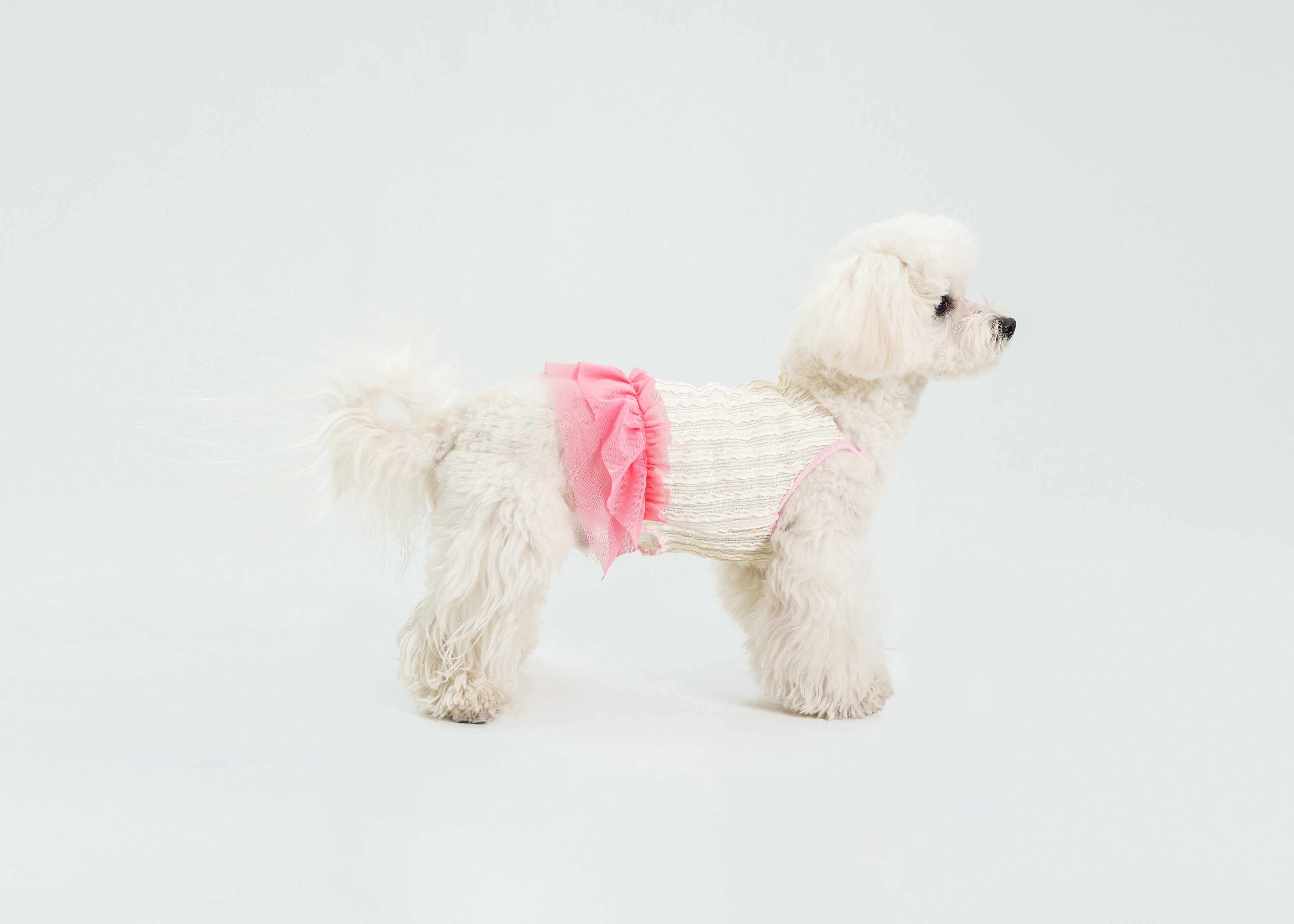 Dream Ballet β Dog Dress