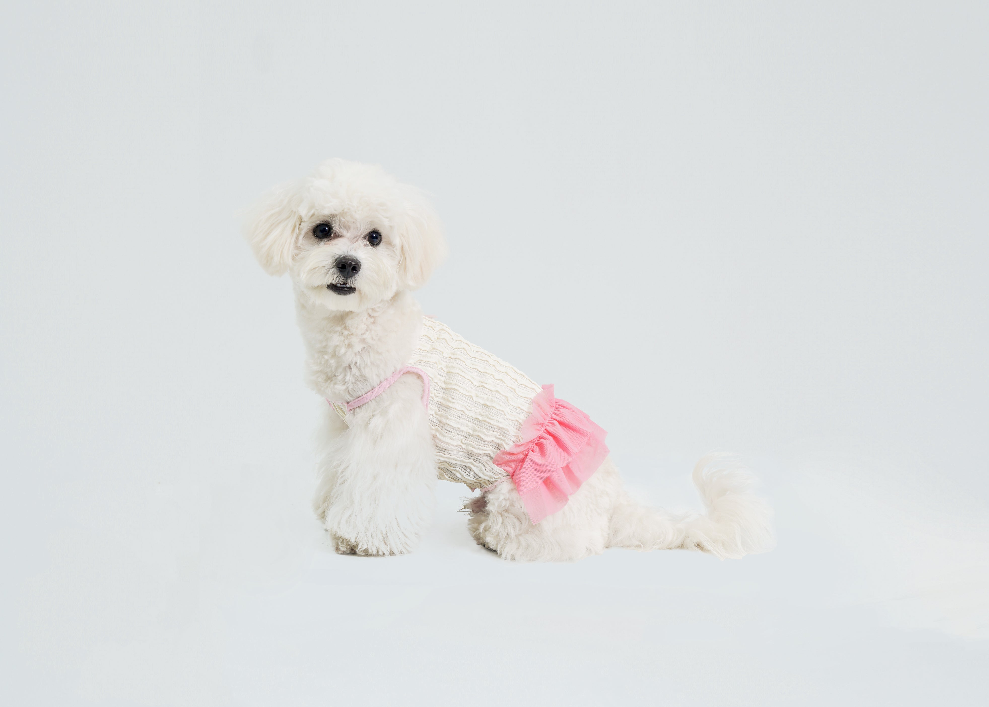 Dream Ballet — Dog Dress