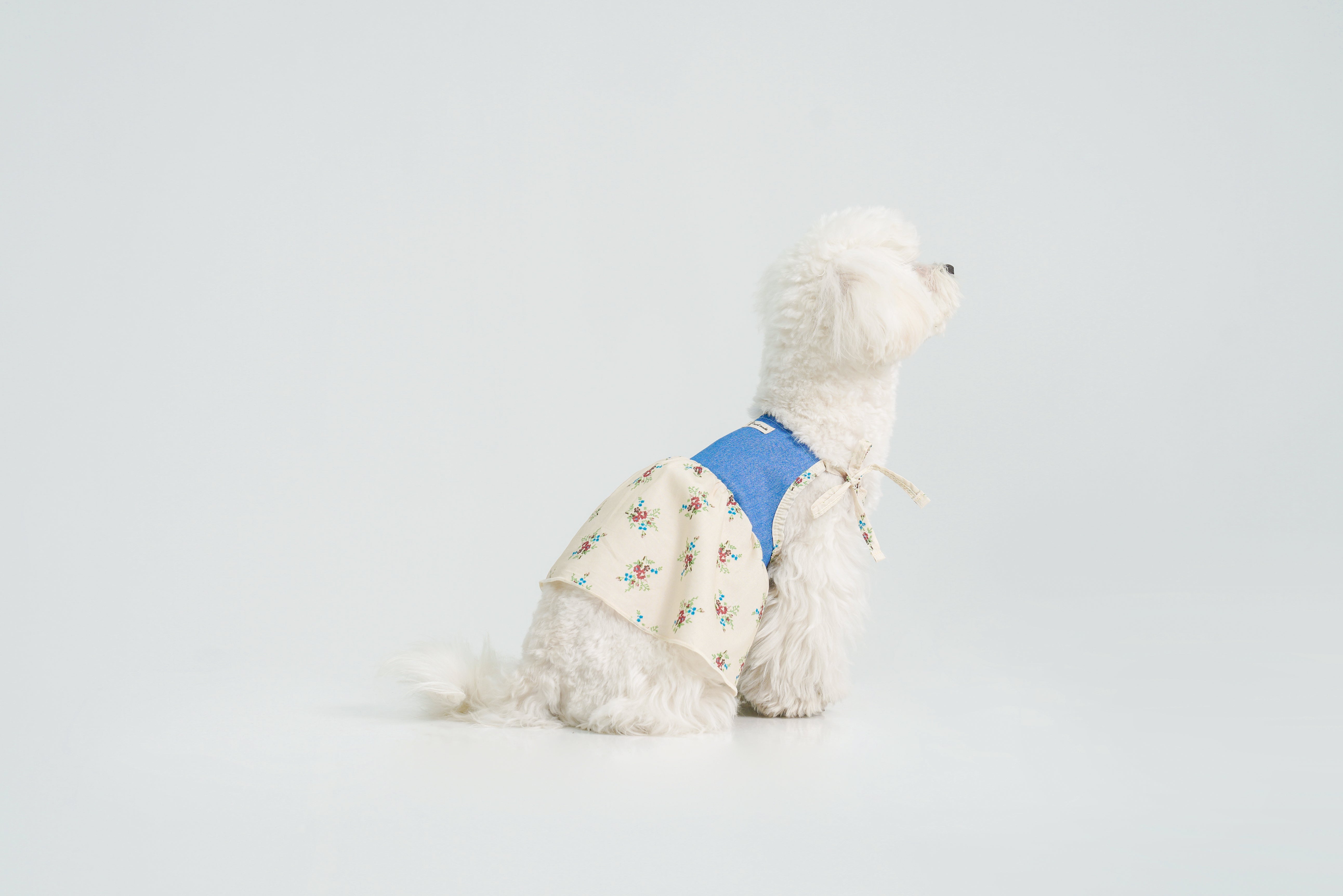 Pasture Blues — Dog Dress