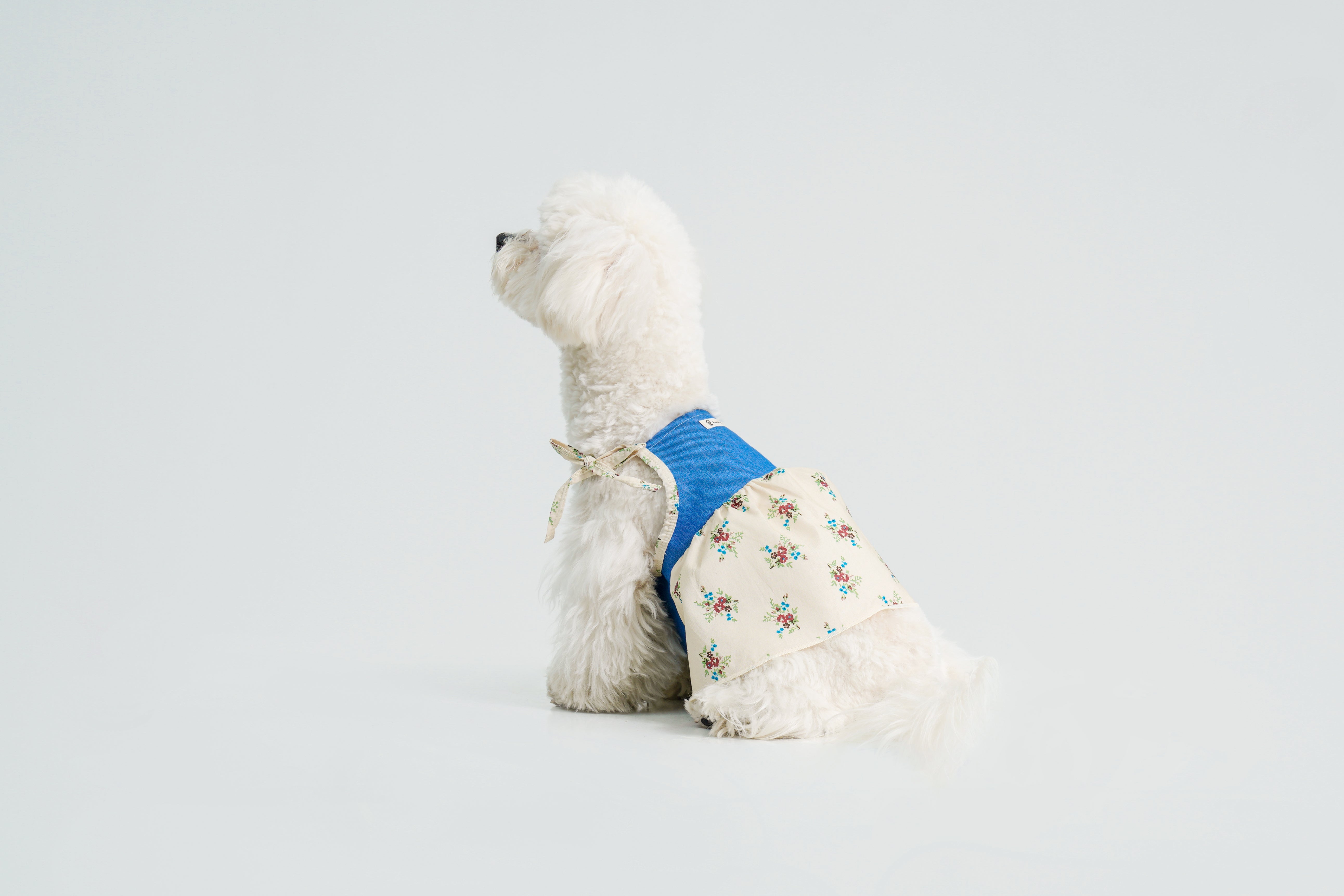 Pasture Blues — Dog Dress