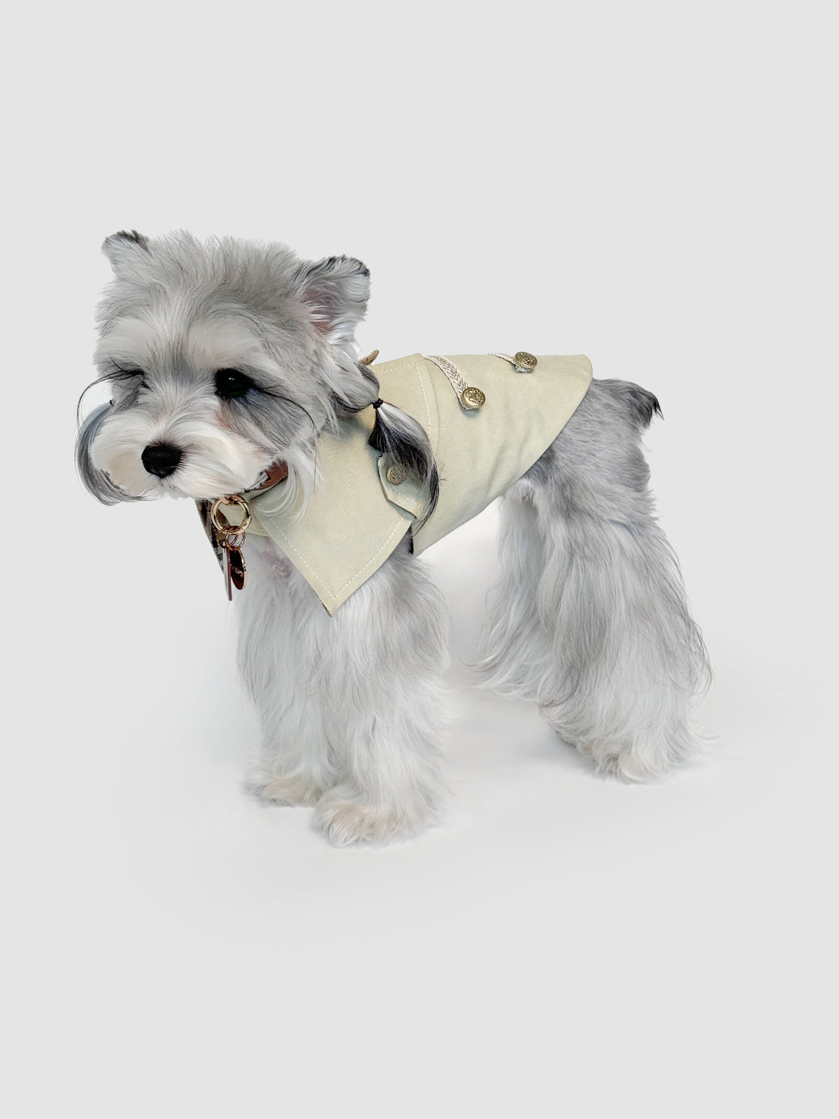 Burton dog vest – product photo 3, kawaii pet apparel by kuwoof