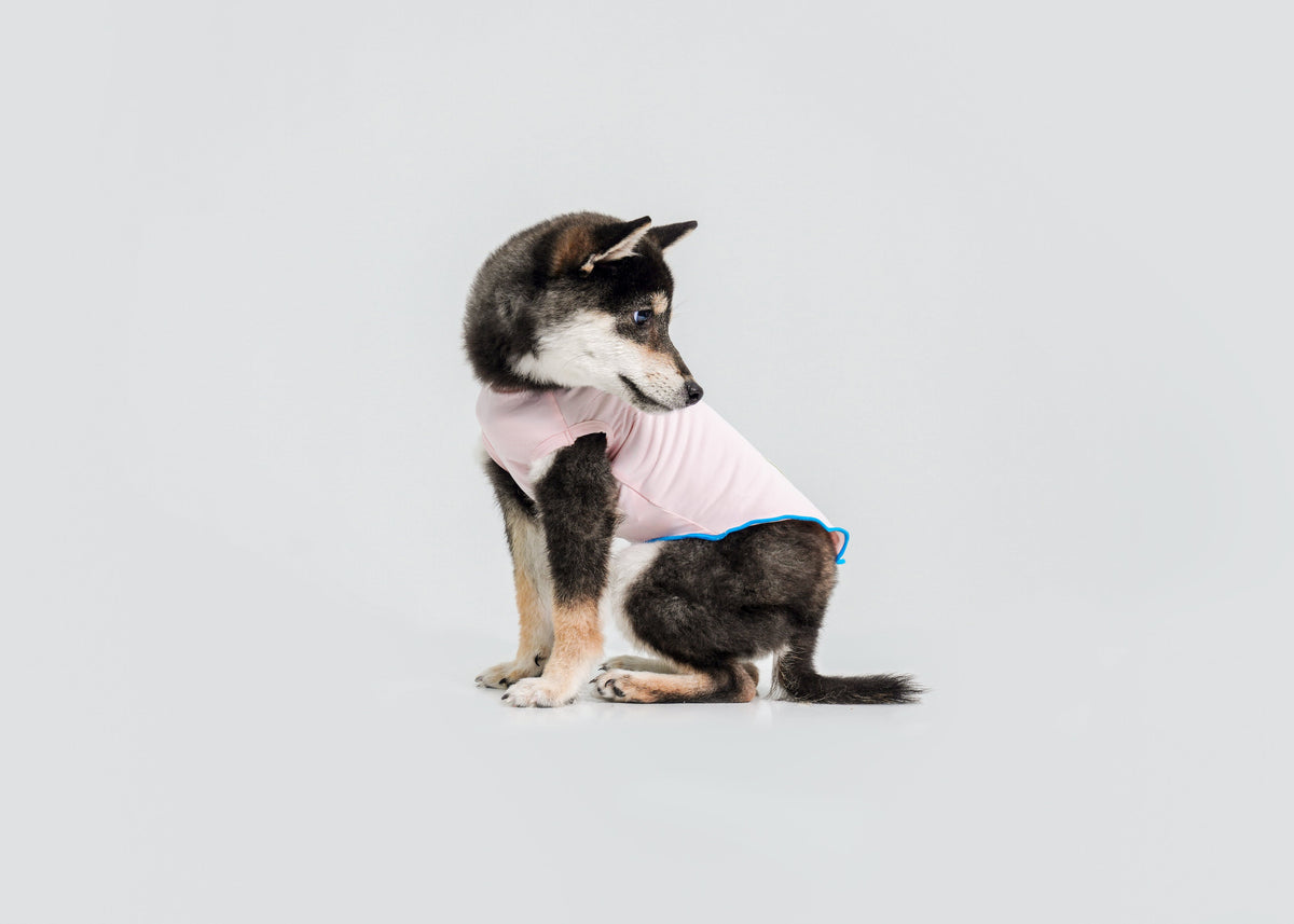 Cool-Touch UV Protection Vest for dogs – front view, kawaii pet apparel by kuwoof