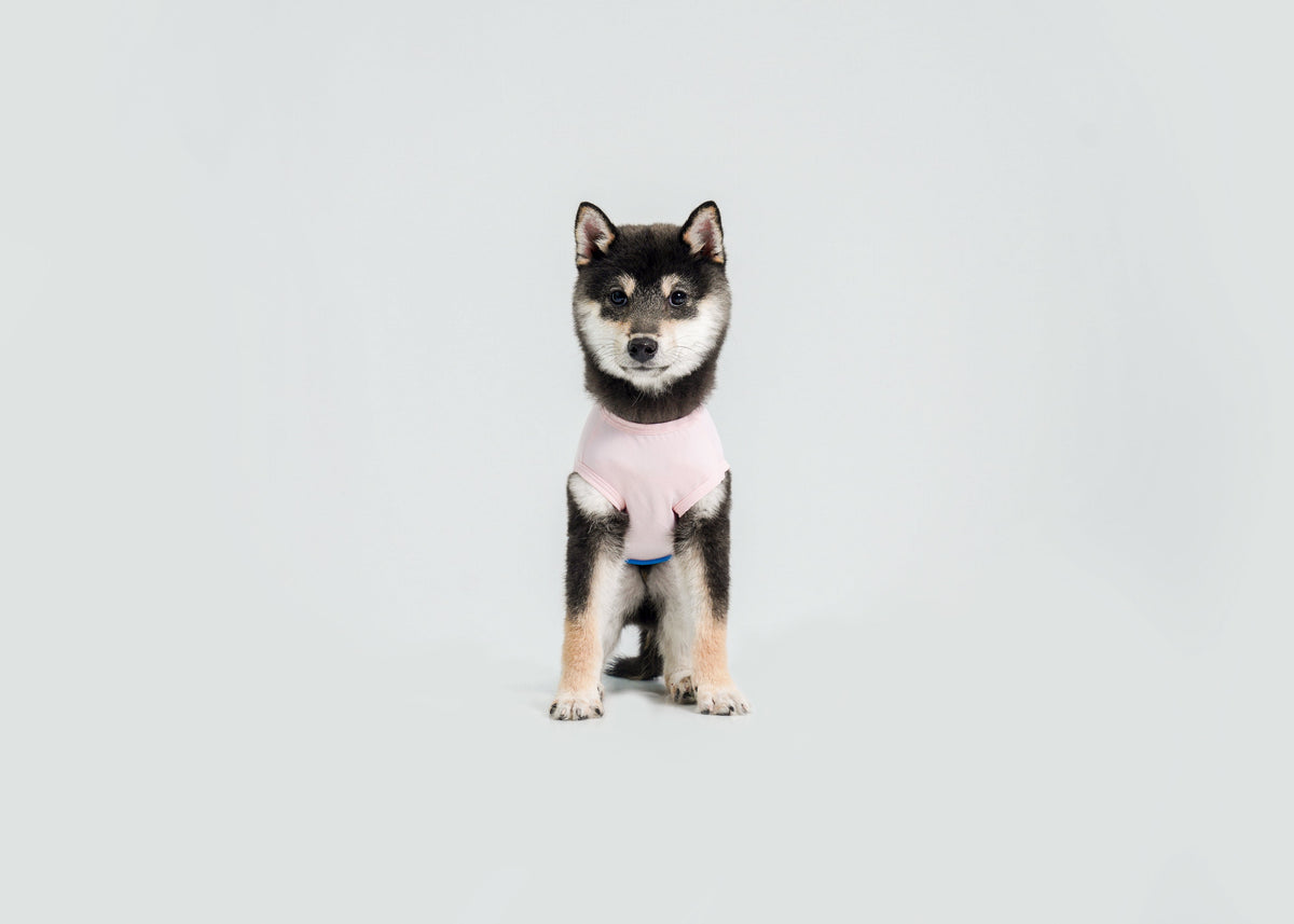 Cool-Touch UV Protection Vest for dogs – product photo 3, kawaii pet apparel by kuwoof