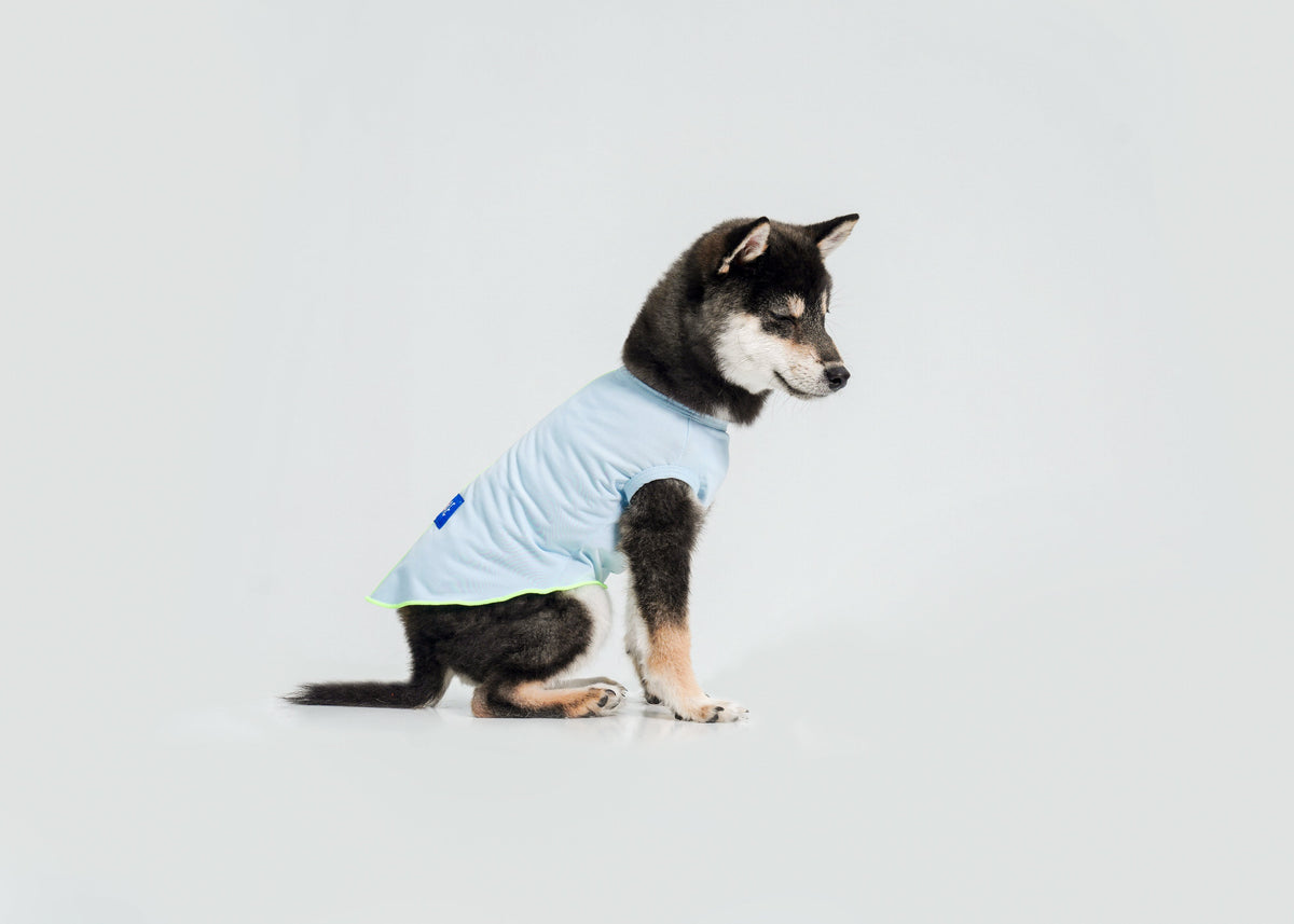 Cool-Touch UV Protection Vest for dogs – product photo 13, kawaii pet apparel by kuwoof