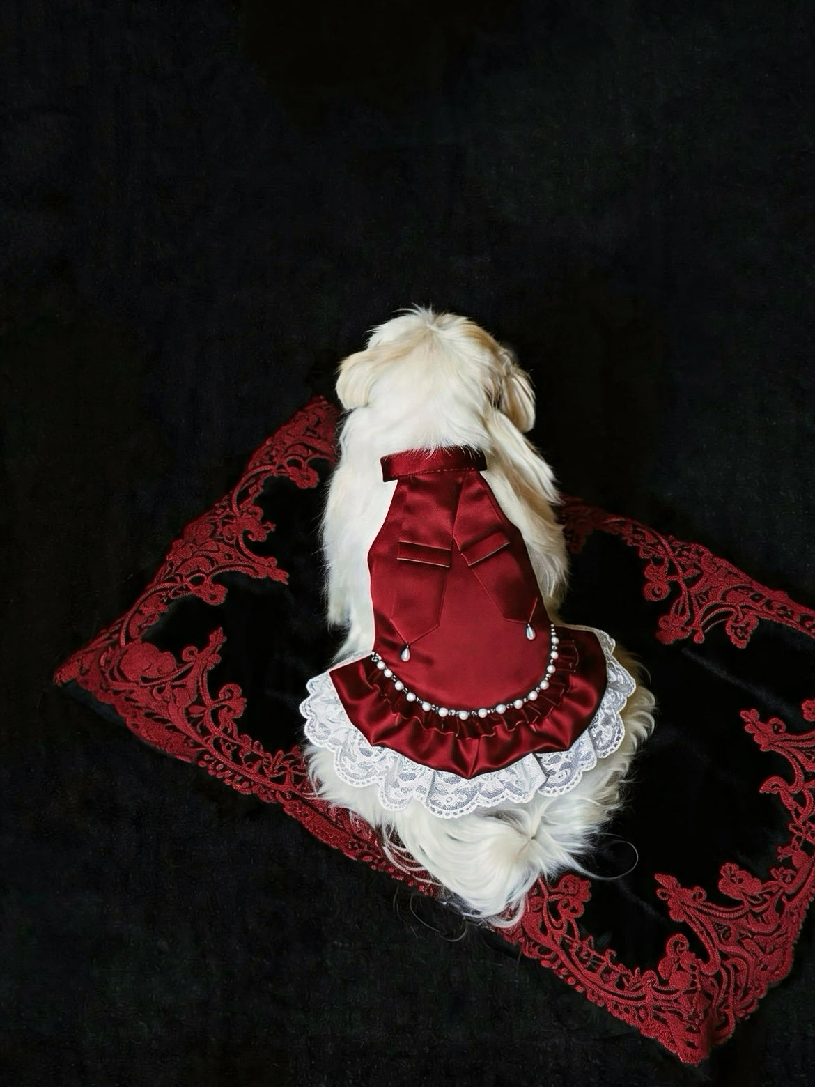 Crimson Pearl dog dress – product photo 2, kawaii pet apparel by kuwoof