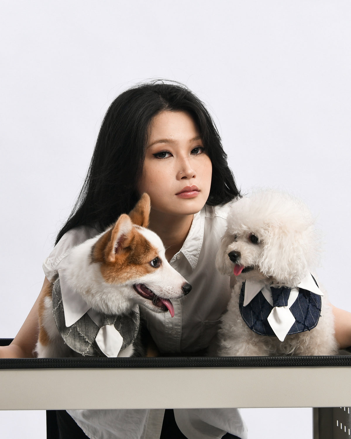 Dapper Pup Tie Bib – product photo 5, kawaii pet apparel by kuwoof
