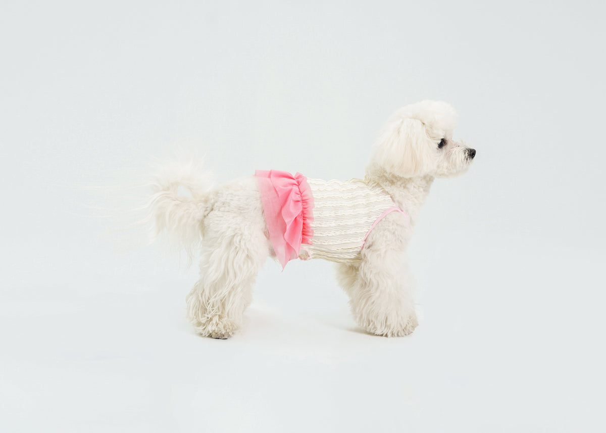Dream Ballet dog dress – product photo 4, kawaii pet apparel by kuwoof