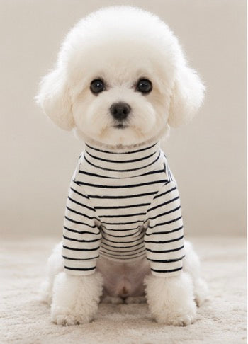German Velvet dog base layer – front view, kawaii pet apparel by kuwoof