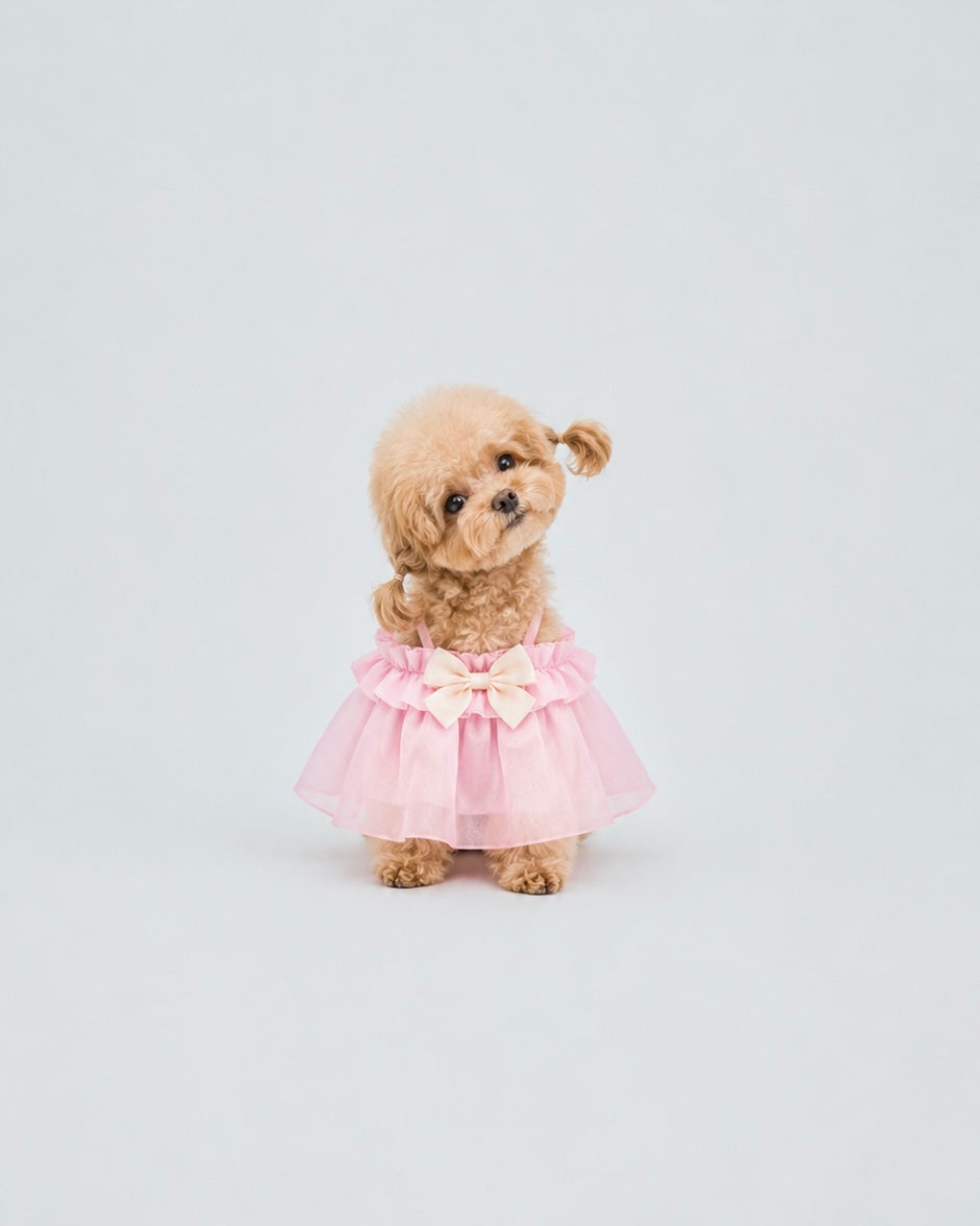 Glazed Summer dog dress – front view, kawaii pet apparel by kuwoof