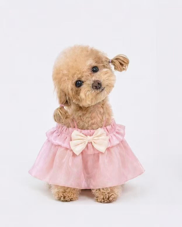 Glazed Summer dog dress – product photo 3, kawaii pet apparel by kuwoof