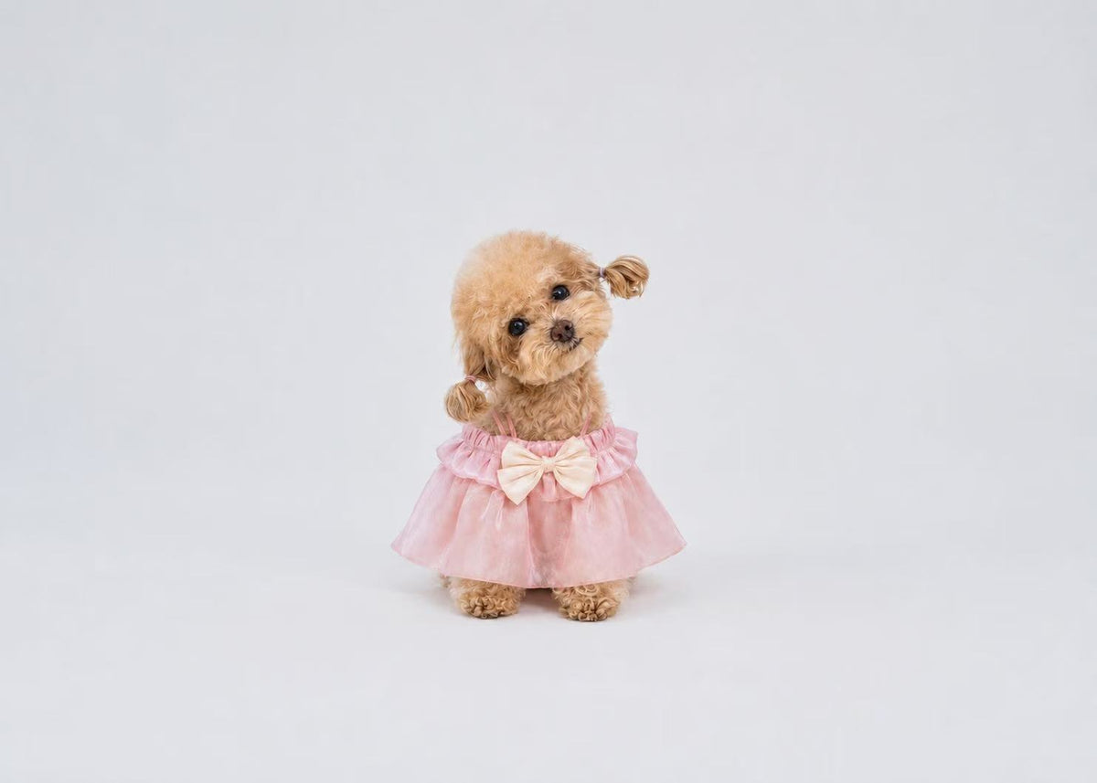 Glazed Summer dog dress – product photo 4, kawaii pet apparel by kuwoof