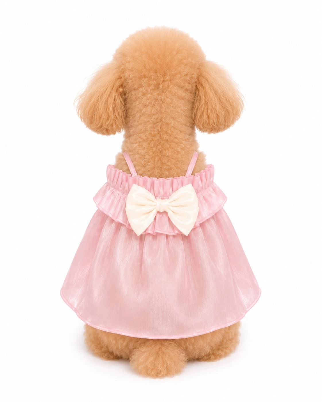 Glazed Summer dog dress – product photo 7, kawaii pet apparel by kuwoof