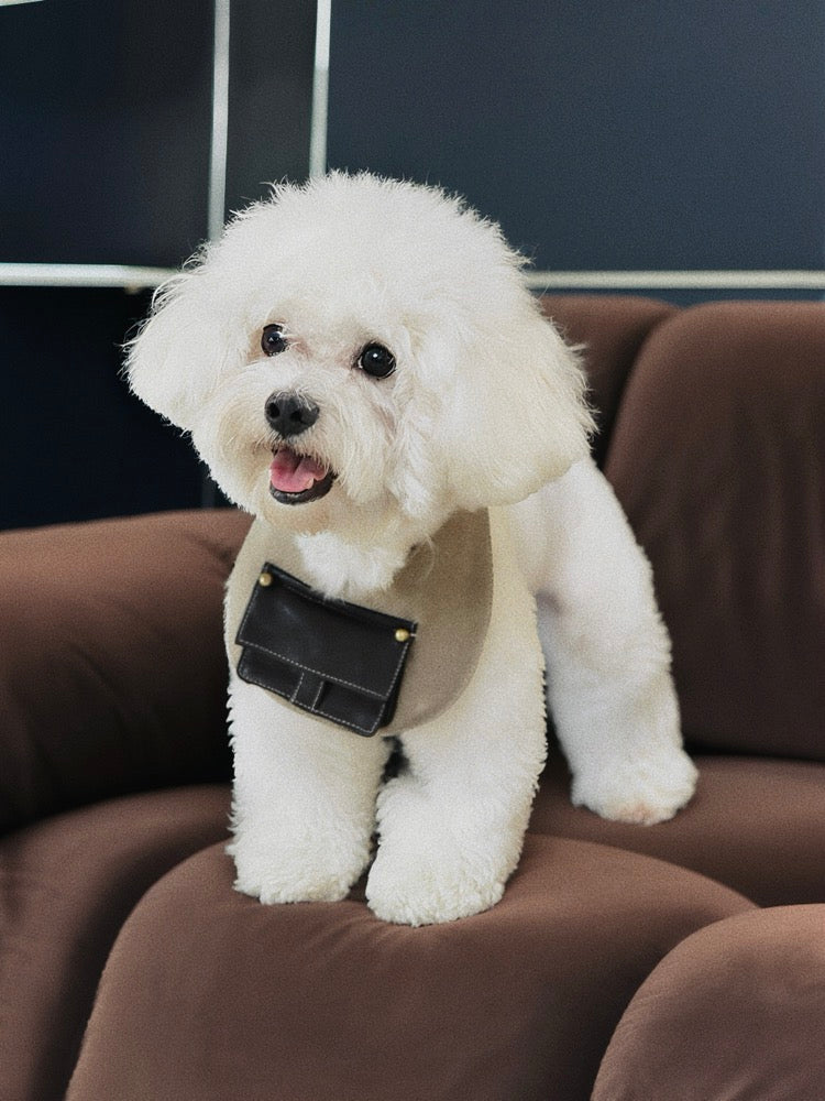 Little Explorer Pocket Dog Bib – product photo 2, kawaii pet apparel by kuwoof