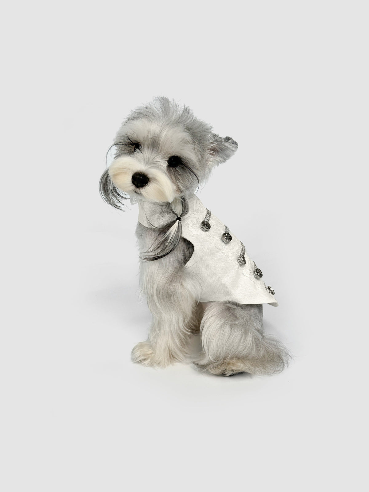 Lorraine dog dress – front view, kawaii pet apparel by kuwoof
