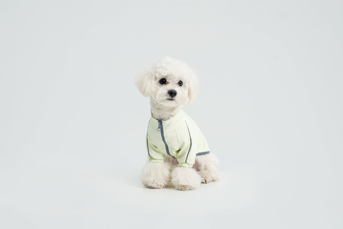 Metroid dog coat – product photo 11, kawaii pet apparel by kuwoof