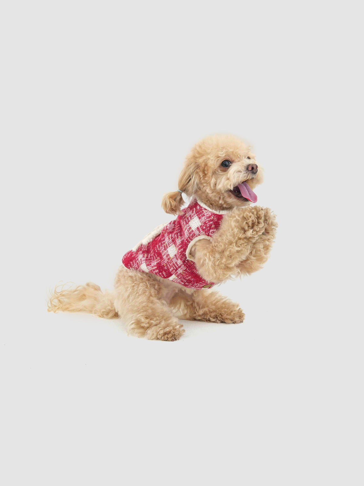 New Day Bow dog coat – product photo 4, kawaii pet apparel by kuwoof