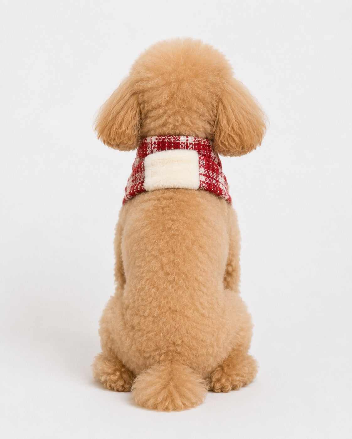 New Day Bow Scarf for dogs – product photo 8, kawaii pet apparel by kuwoof