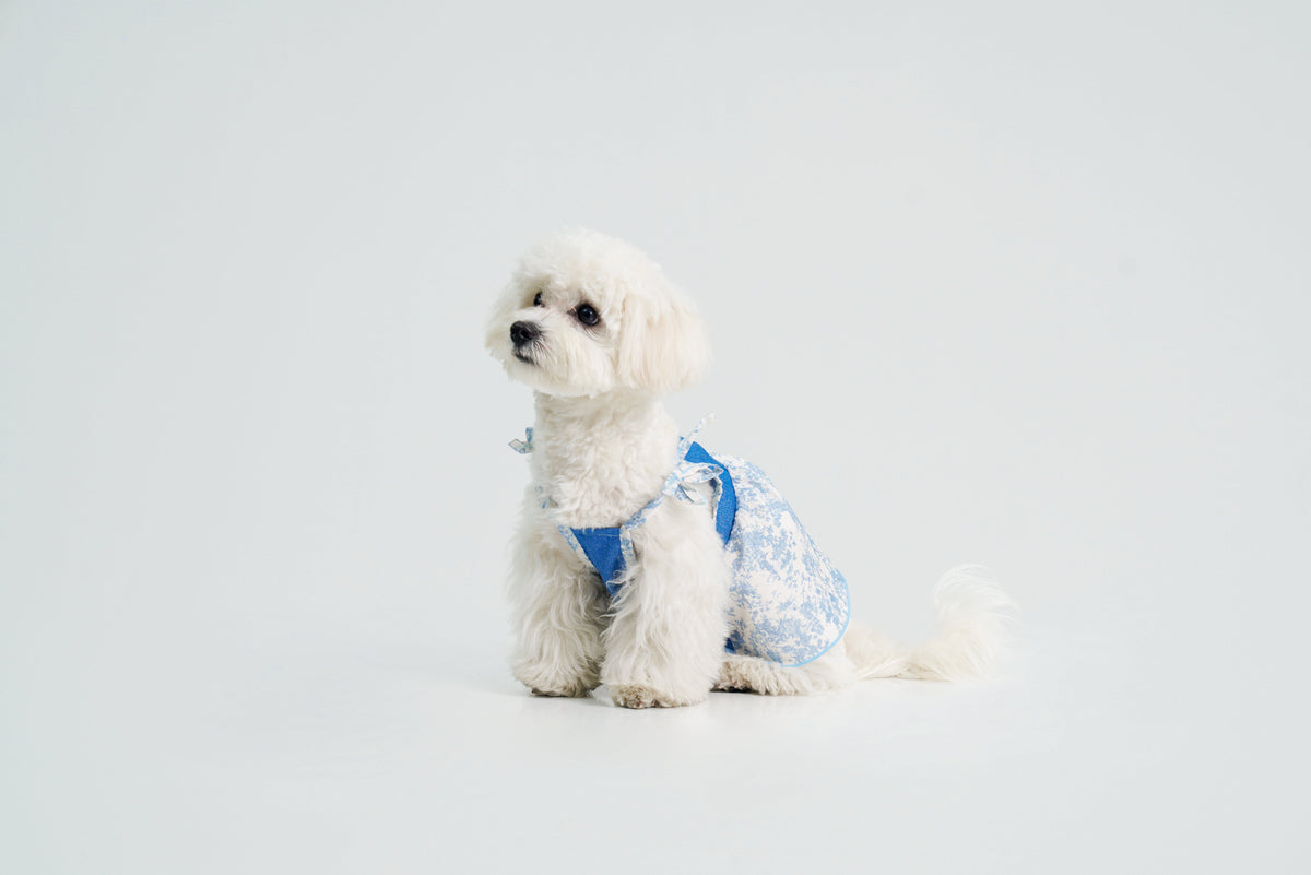 Pasture Blues dog dress – product photo 12, kawaii pet apparel by kuwoof
