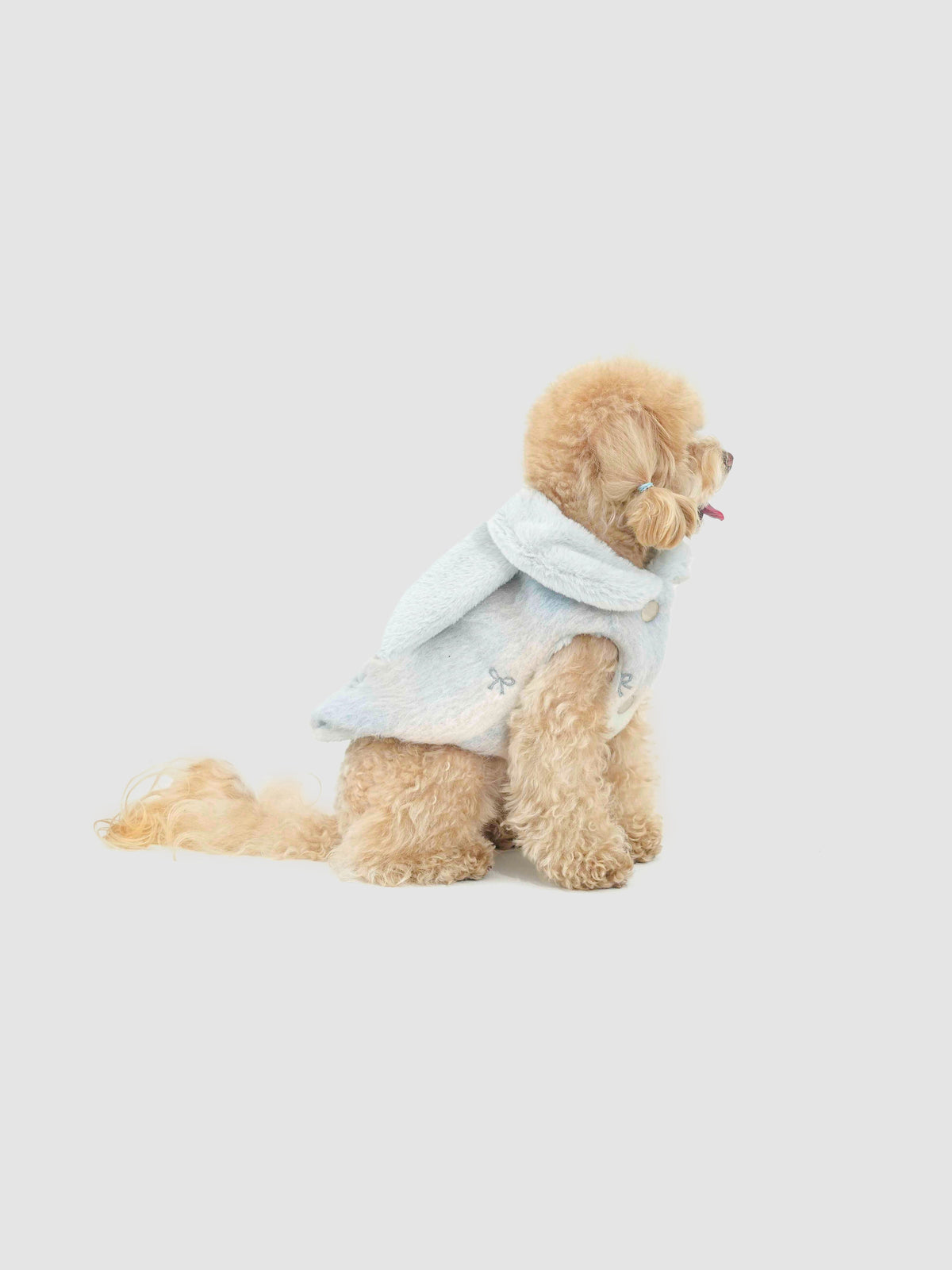 Scarlet Bow dog coat – product photo 13, kawaii pet apparel by kuwoof