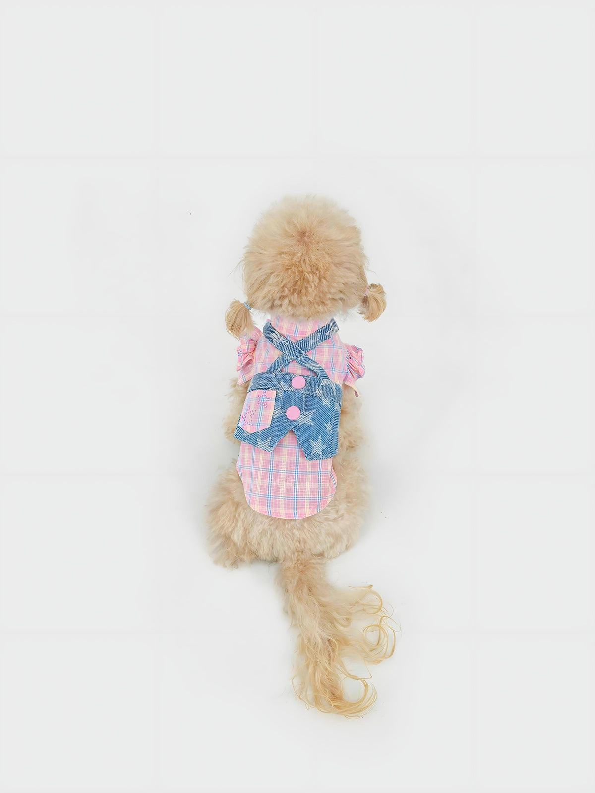 Starlit Cowboy dog shorts set – product photo 2, kawaii pet apparel by kuwoof