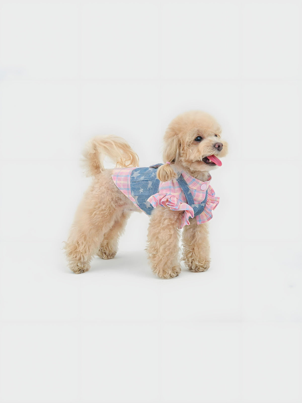 Starlit Cowboy dog shorts set – product photo 4, kawaii pet apparel by kuwoof