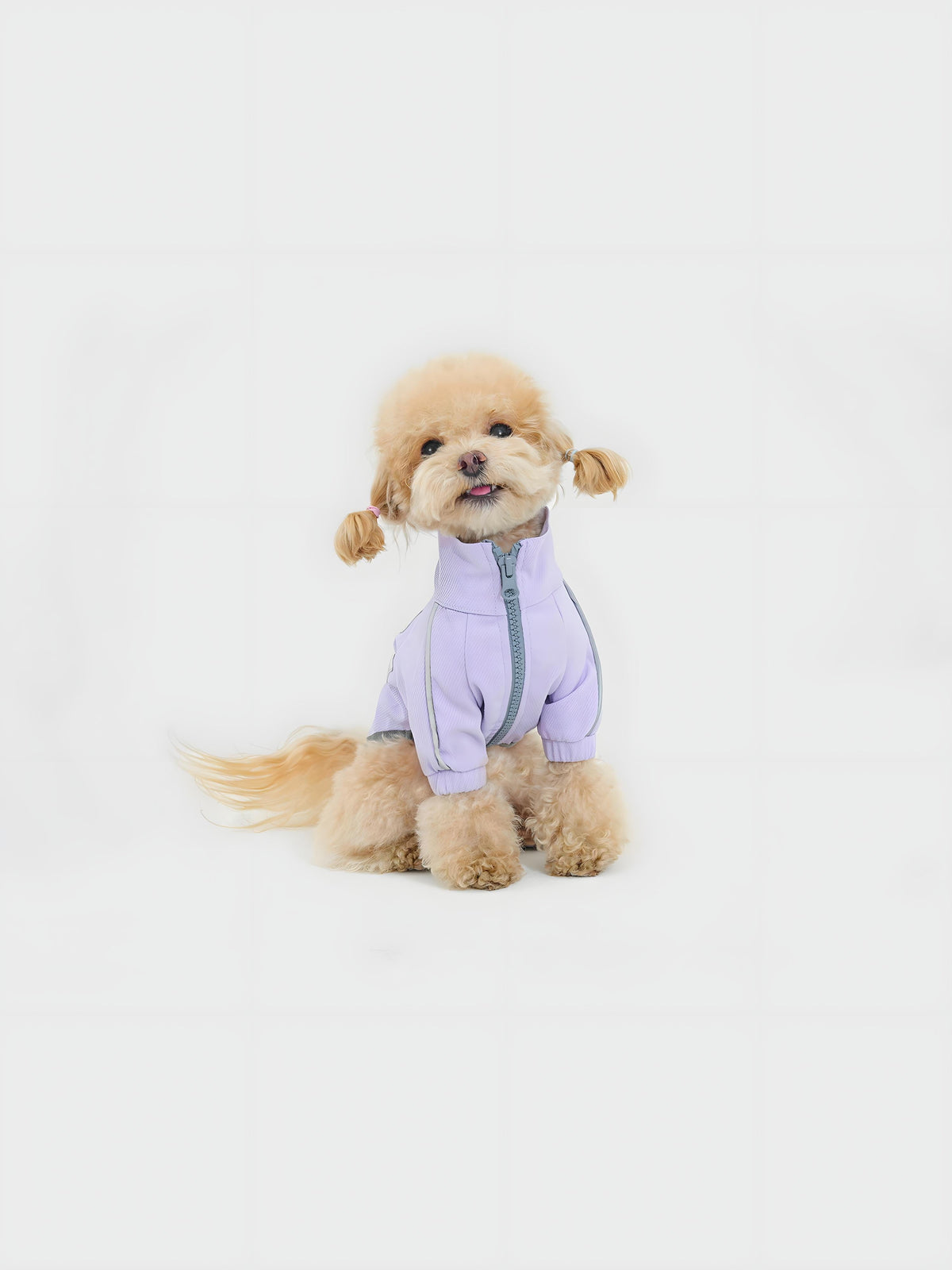 Metroid dog coat – front view, kawaii pet apparel by kuwoof