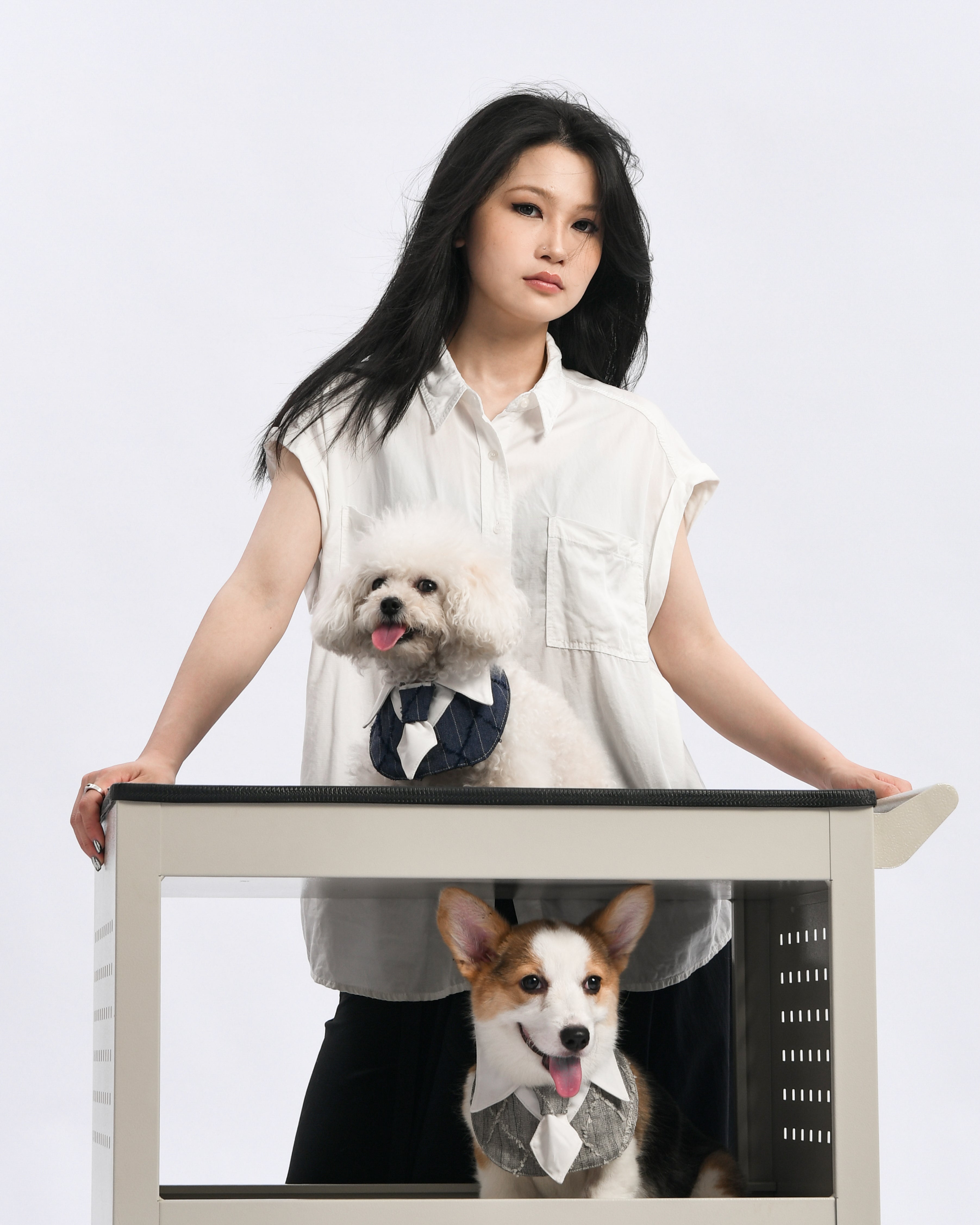 Dapper Pup Tie Bib
