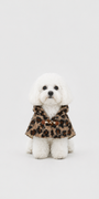 Mocha Leopard