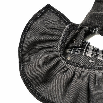Punk Meteorite — Dog Dress