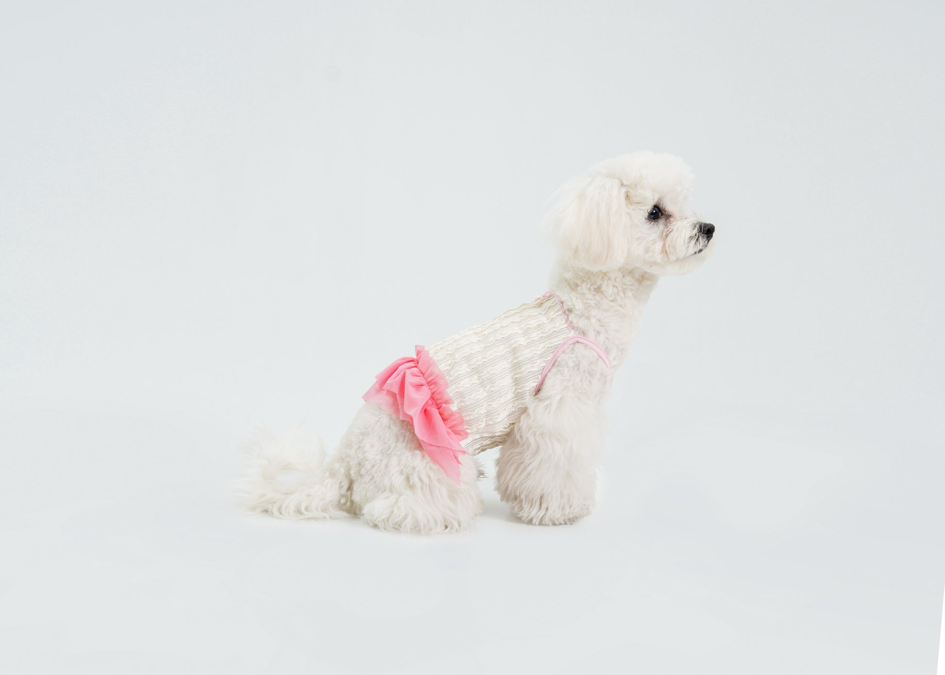 Dream Ballet（Pink）