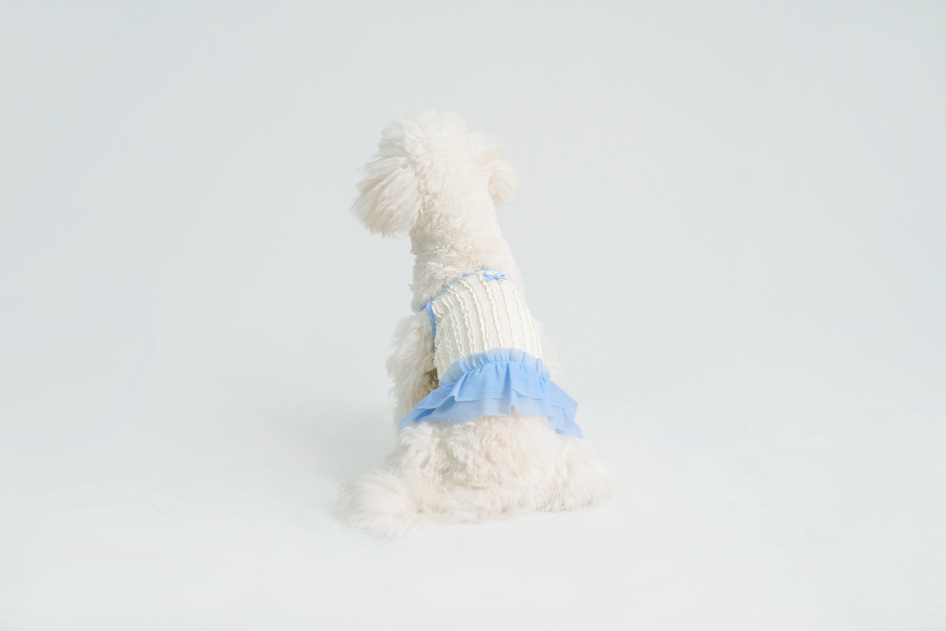 Dream Ballet（Blue）