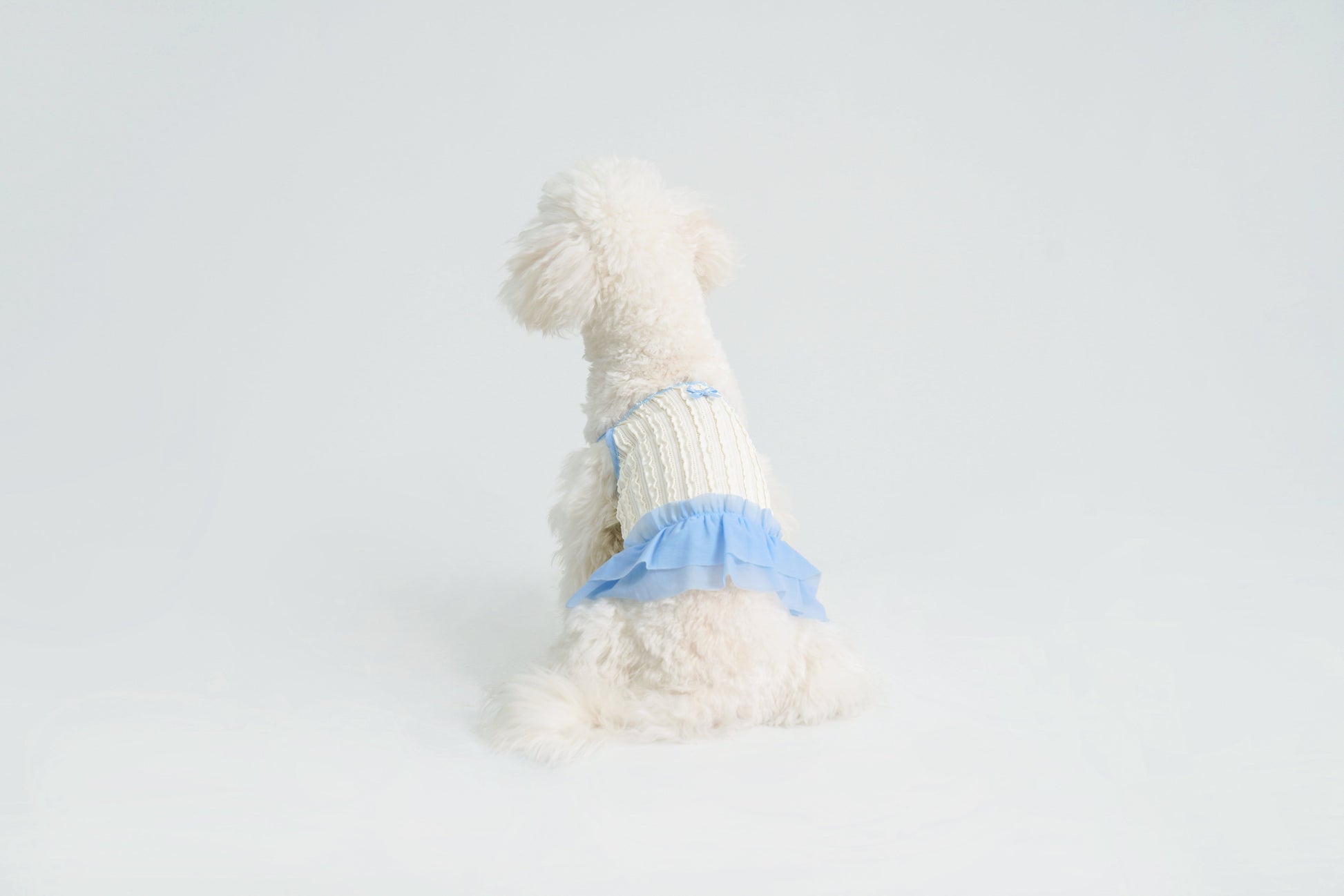 Dream Ballet - Blue
