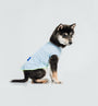 Cool-Touch UV Protection Vest （Blue）