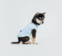 Cool-Touch UV Protection Vest - Blue