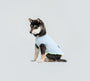 Cool-Touch UV Protection Vest - Blue