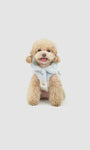 Bow - Soft Cloud