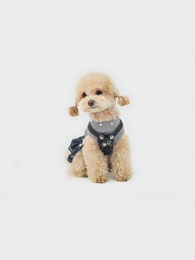Punk Meteorite — Dog Dress