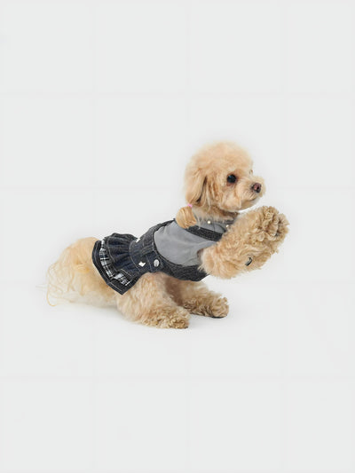 Punk Meteorite — Dog Dress
