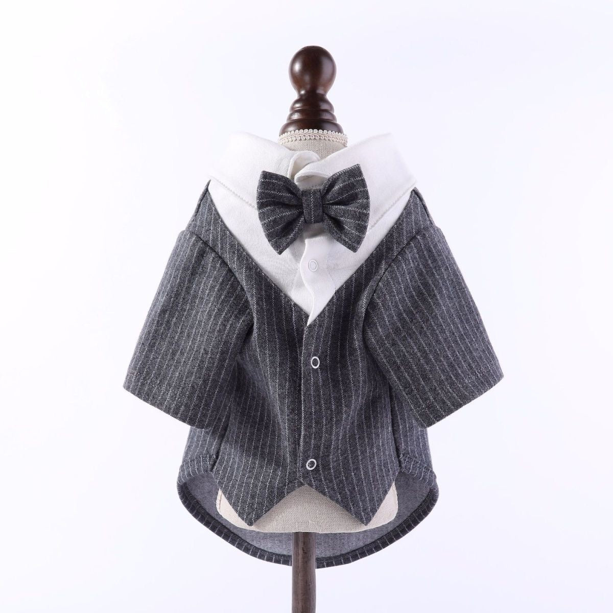 British Evening Gown dog coat – front view, kawaii pet apparel by kuwoof
