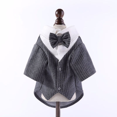 British Evening Gown dog coat – front view, kawaii pet apparel by kuwoof