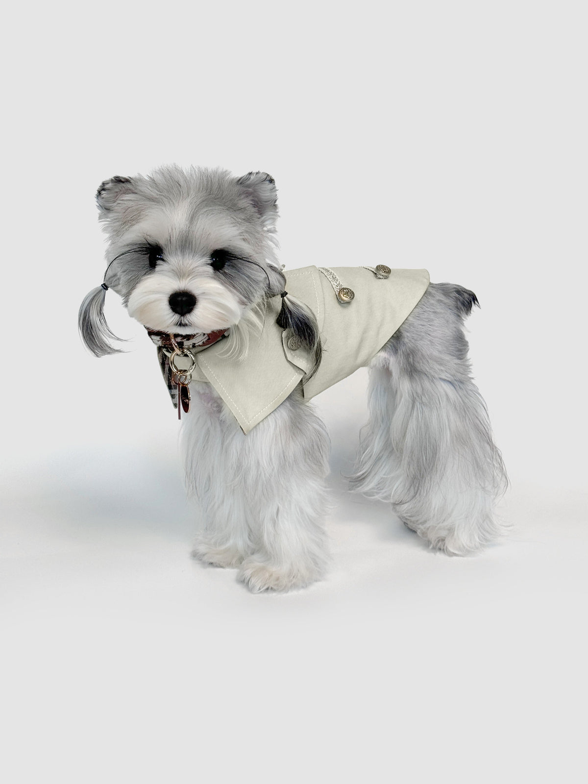 Burton dog vest – front view, kawaii pet apparel by kuwoof