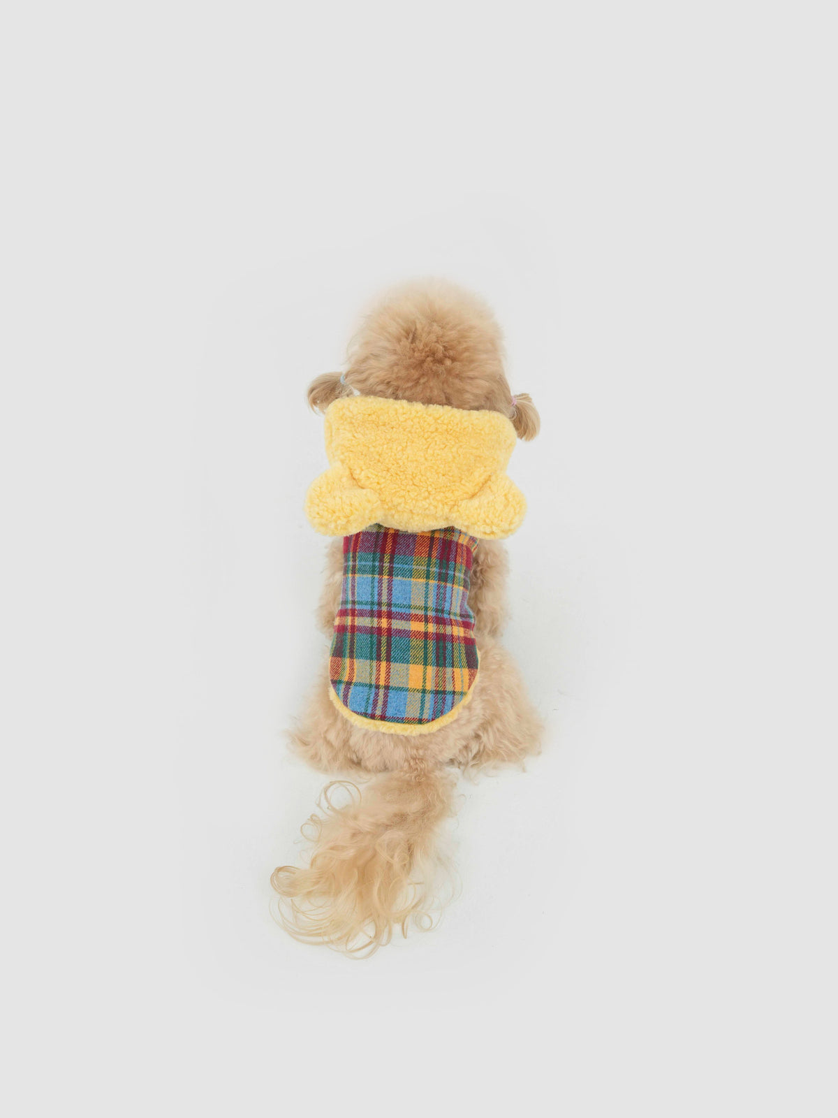 Butter Bear dog vest – product photo 2, kawaii pet apparel by kuwoof