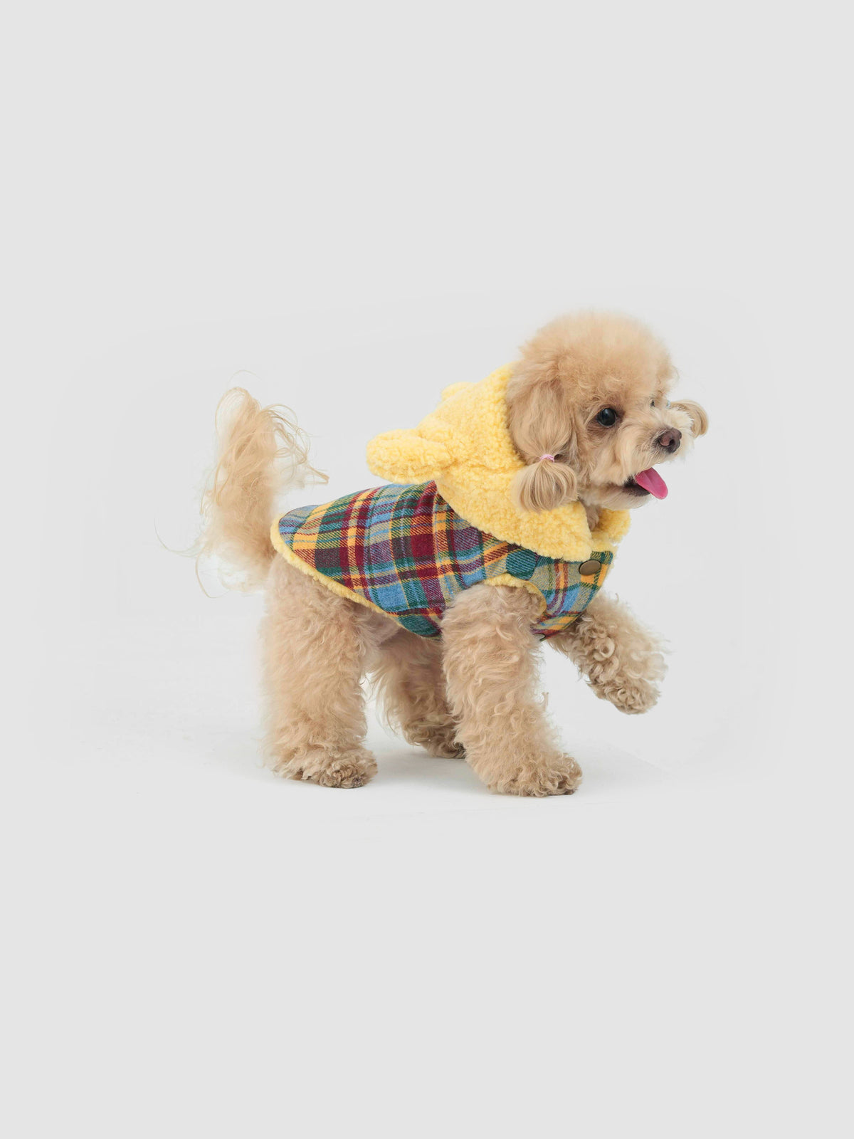 Butter Bear dog vest – product photo 3, kawaii pet apparel by kuwoof