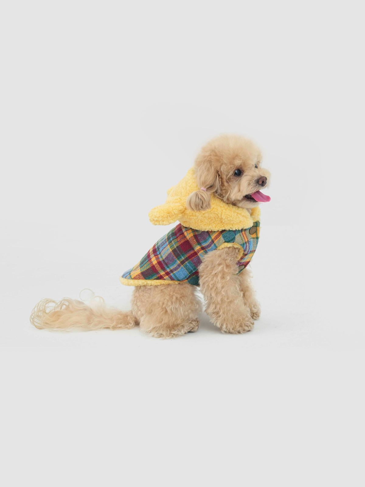 Butter Bear dog vest – product photo 4, kawaii pet apparel by kuwoof