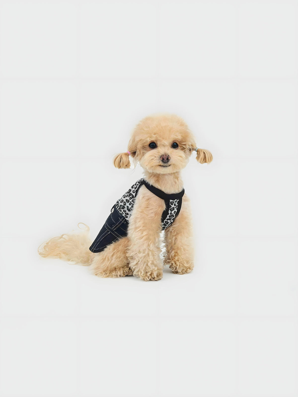 Colorful Denim dog dress – front view, kawaii pet apparel by kuwoof