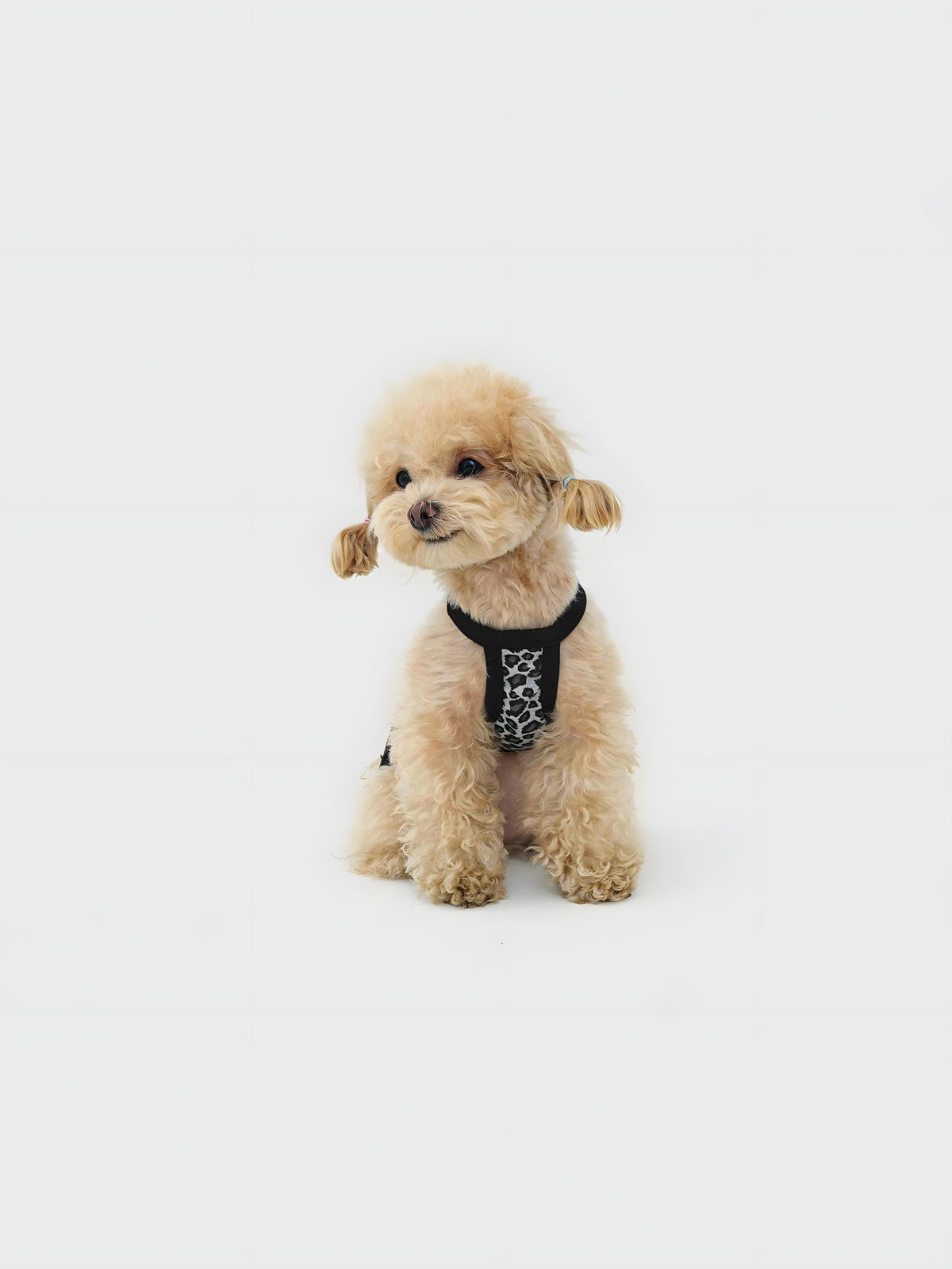 Colorful Denim dog dress – product photo 4, kawaii pet apparel by kuwoof