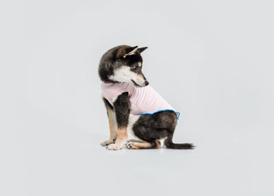 Cool-Touch UV Protection Vest for dogs – front view, kawaii pet apparel by kuwoof