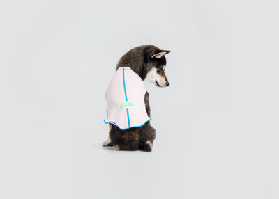 Cool-Touch UV Protection Vest for dogs – product photo 2, kawaii pet apparel by kuwoof